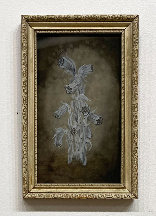 "Ghost Flowers" by Ven Loetz