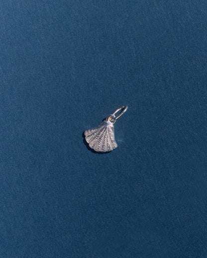 Shell Pendant | Silver - Available Now