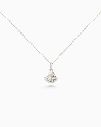 Shell Pendant | Silver - Available Now